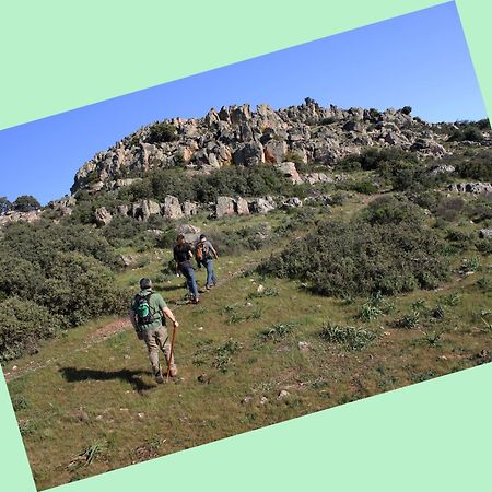 Apartmán Complejo Turistico Rural Fuente Taray Malagón Exteriér fotografie