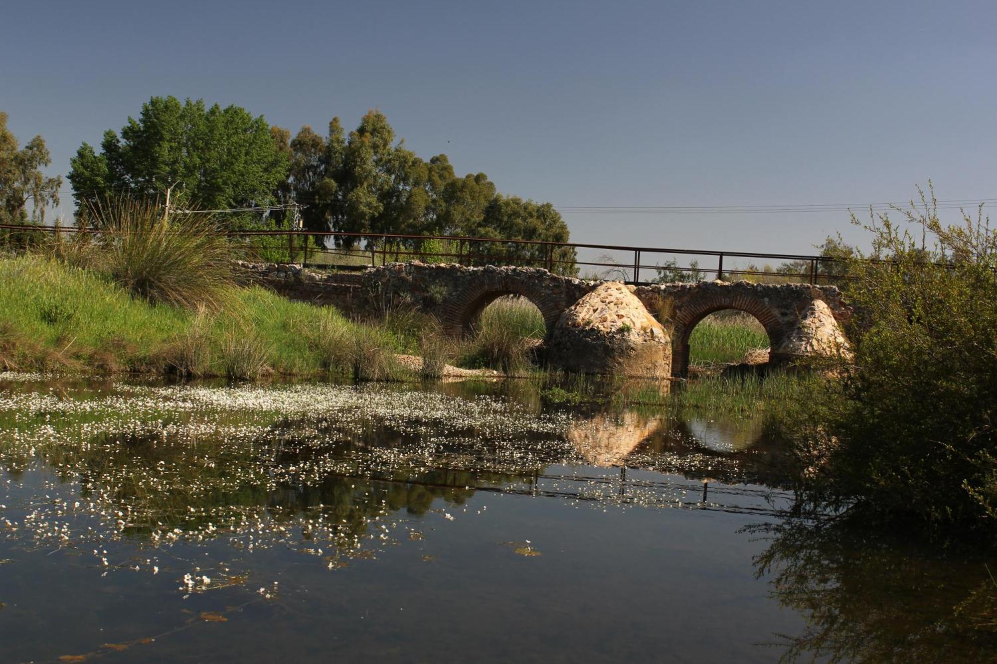 Apartmán Complejo Turistico Rural Fuente Taray Malagón Exteriér fotografie