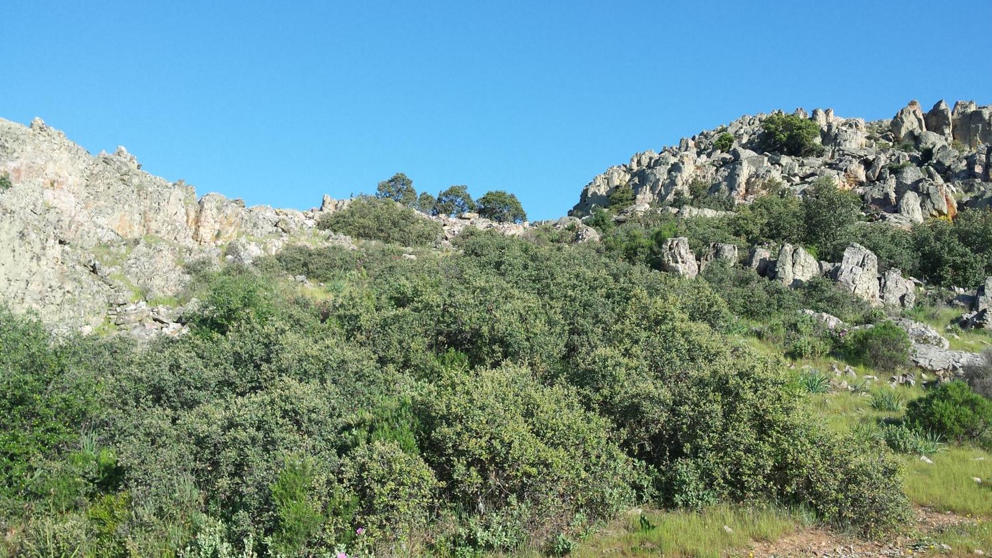 Apartmán Complejo Turistico Rural Fuente Taray Malagón Exteriér fotografie