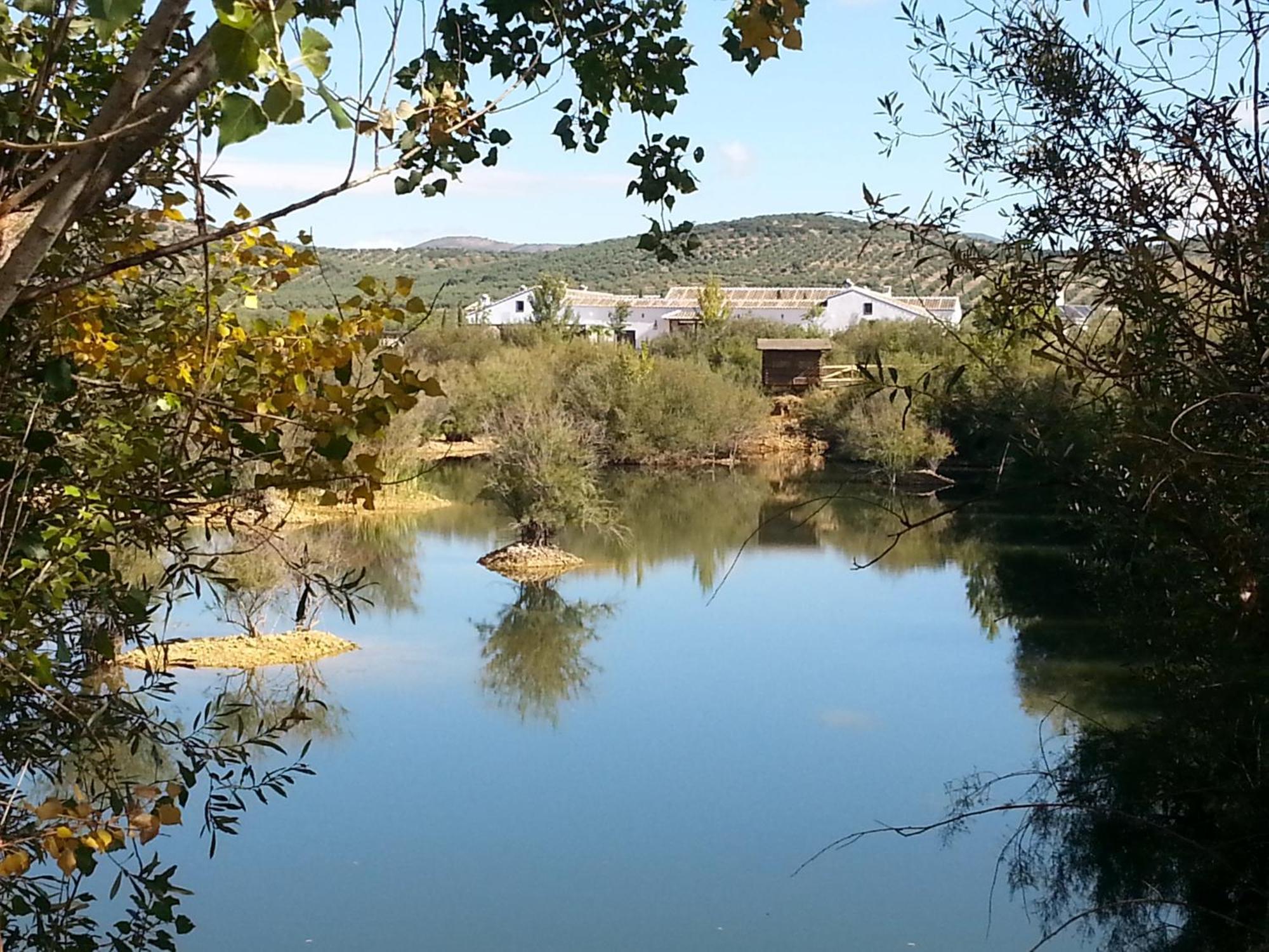 Apartmán Complejo Turistico Rural Fuente Taray Malagón Exteriér fotografie