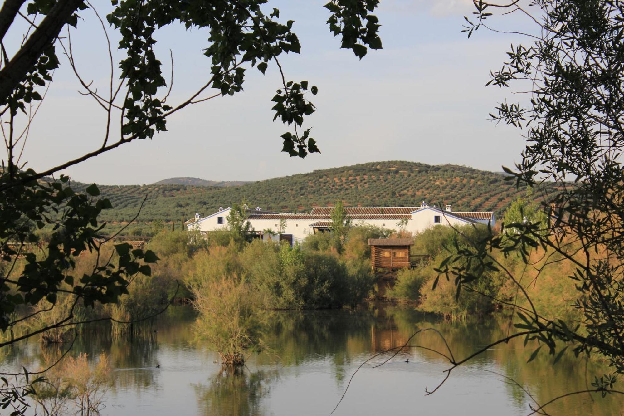 Apartmán Complejo Turistico Rural Fuente Taray Malagón Exteriér fotografie
